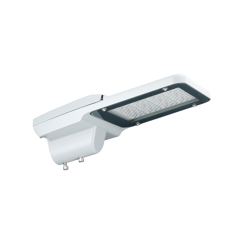 Dış Mekan IP66 Suya Dayanıklı PACIFIC LITE Serisi LED Sokak Aydınlatma Armatürleri