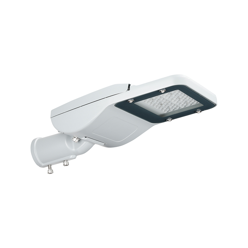 Ayarlanabilir PACIFIC PRO Serisi Kamu Aydınlatması için LED Sokak Lambası